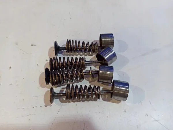 Uitlaatkleppen OEM 31380436 voor Volvo V60 2.0L image 3