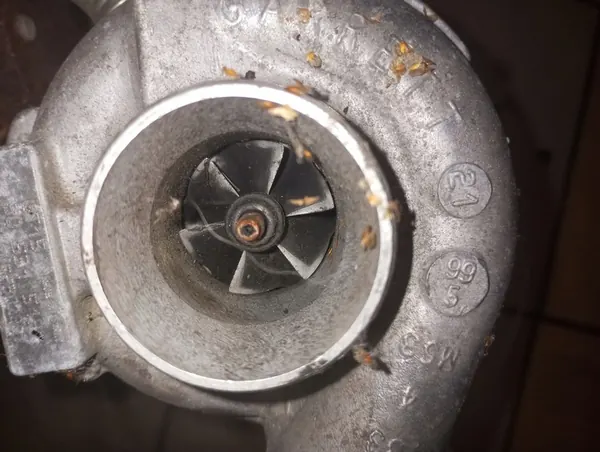 Turbo Opel 2.0 DI 82 CV Zafira Vectra Astra 454098-5003 image 5