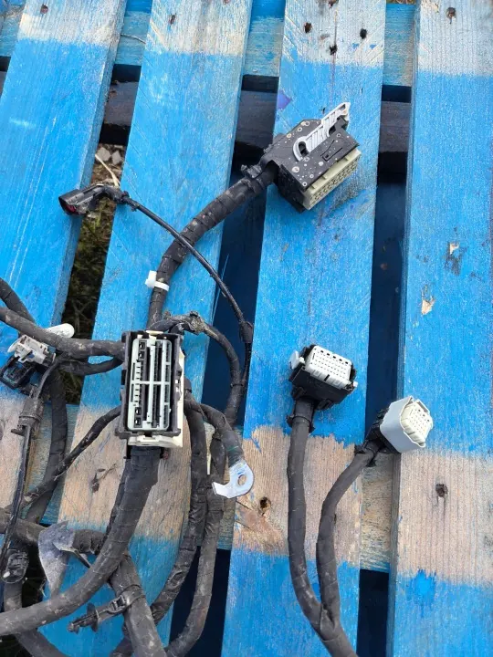 Câblage Moteur Ford Mustang Mach-E OEM PJ8T14B599 image 3