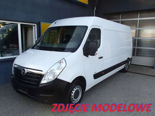 OEM 265120001R Moldura Puerta Trasera Izquierda Opel Movano B image 8
