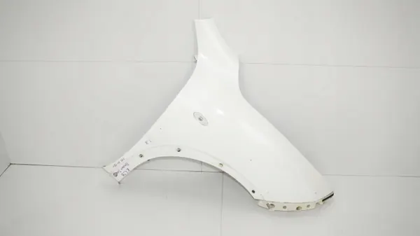 OEM 360192029 Fram höger stänkskärm för Nissan Juke image 2