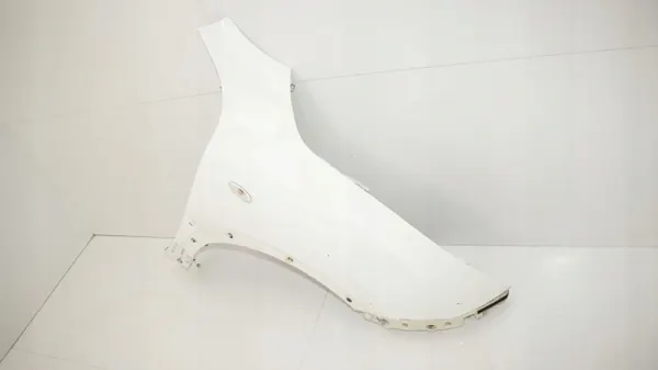 OEM 360192029 Fram höger stänkskärm för Nissan Juke image 4