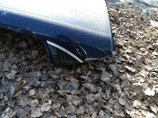 Porsche Panamera 970 Dachhimmel OEM DACH Weiß image 3