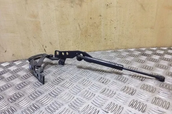 Bisagra de capó izquierda BMW X5 (E53) 2005 OEM 51238402551 image 2