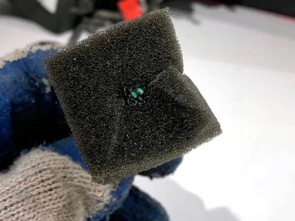 Luz trasera izquierda Hyundai Kona 92401J9600 image 3