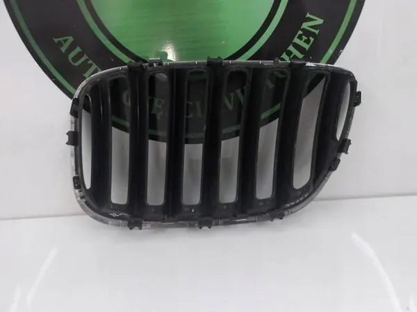 Grill, bumper, right front BMW X5 E53 image 2
