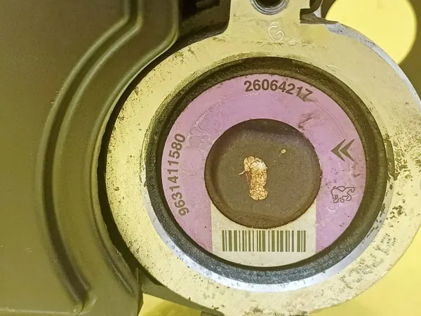Ohjauspumppu OEM DRC100366 Peugeot 206:lle image 6