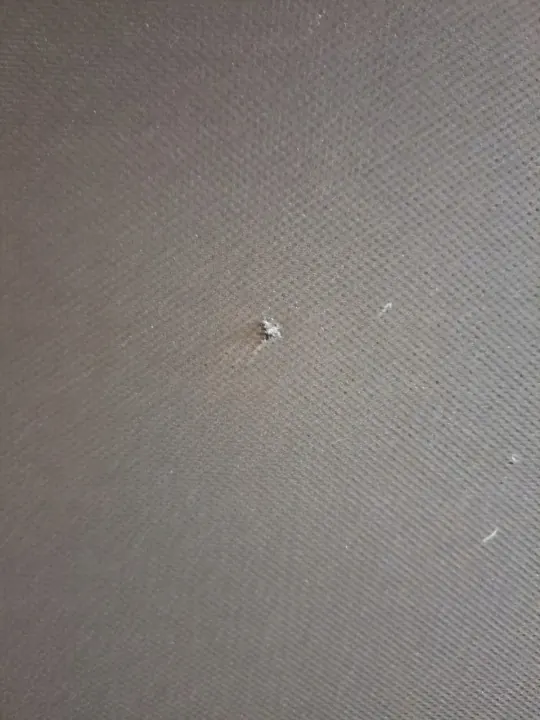 Panoramadak Audi A4 B9 OEM 8W9877041B Gebruikt image 7