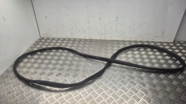 Türdichtung OEM 291091 für Nissan Ariya 2024 rechts hinten image 2