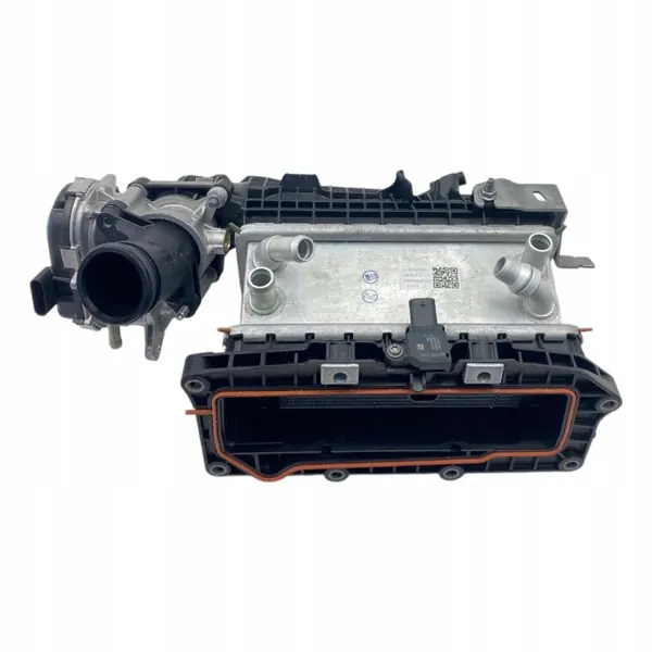 Dacia imusarja OEM 100012964R 1.2L bensiini image 10