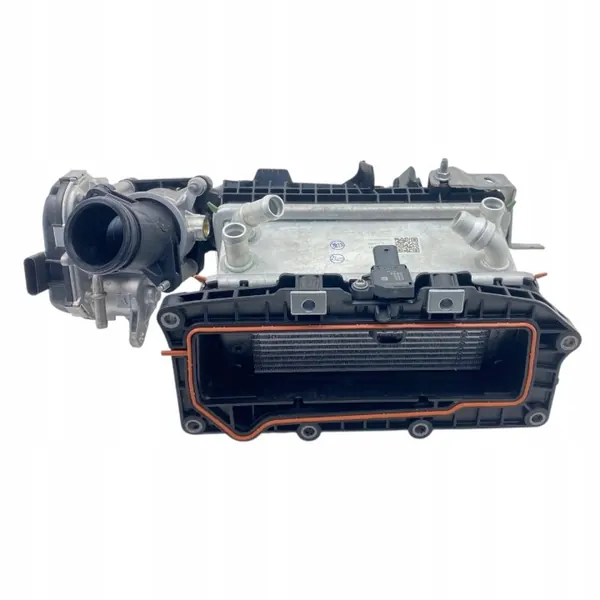 Dacia imusarja OEM 100012964R 1.2L bensiini image 9