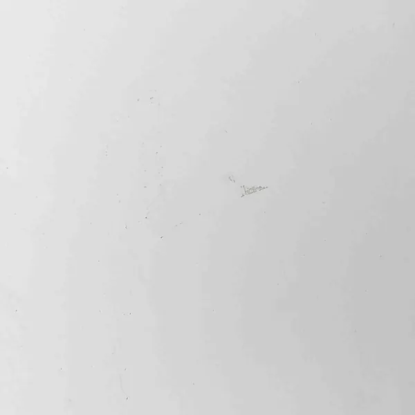 Polttoainesäiliön kansi OEM 657015SH1A Nissan Leaf 2019 image 7