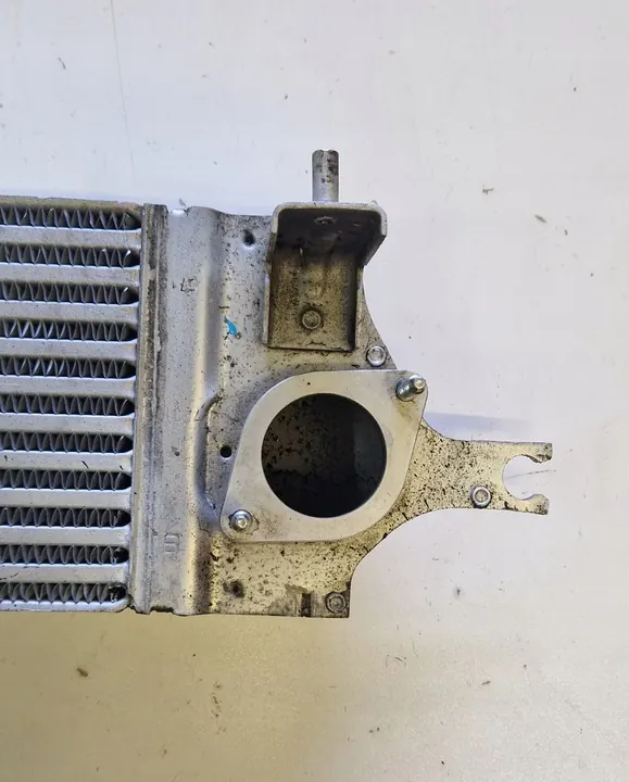 Radiatore Intercooler Nissan X-Trail (T31) Renault Koleos 2.0 DCI image 3