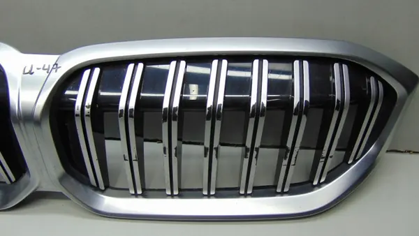 Grille Rein OEM 192976-10 pour BMW X3 G01 X4 G02 image 3