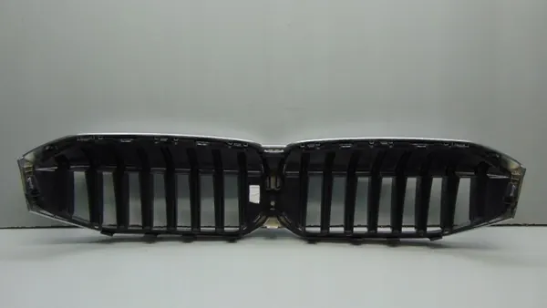 Grille Rein OEM 192976-10 pour BMW X3 G01 X4 G02 image 4
