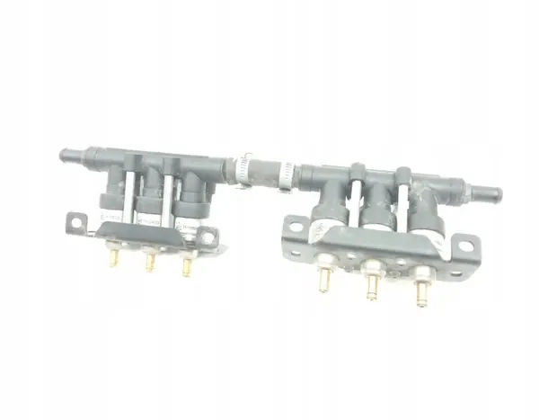 Carril de inyección GLP OEM E8 67R02111416 110R0311416 image 6