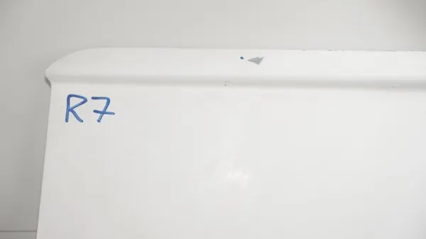 Höger sidodörr OEM 360189263 för Nissan NV200 2009 image 9