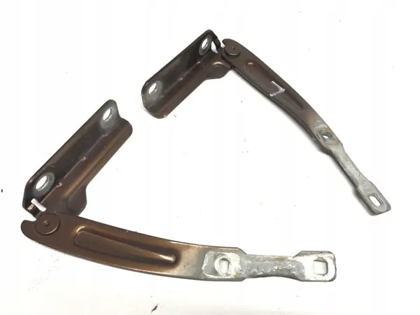 Bisagra del Capó Delante Dacia Duster 10-18 Completa Marrón image 3