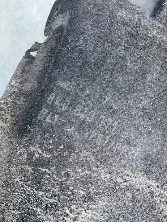 Rear Wheel Arch Audi A4 B8 Left Right OEM 8K0 810 171C image 9