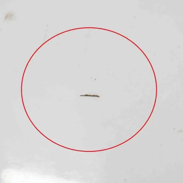 OEM 7274213 Vänster spegelhus BMW 3 Touring F31 image 6