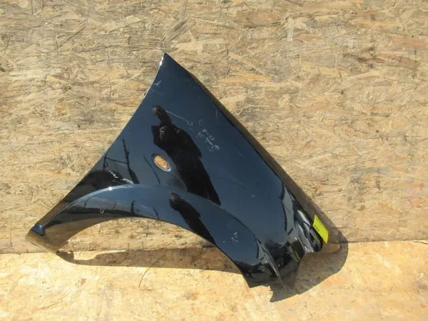Aile avant droite OEM AVN4861 pour Citroen C3 I image 2
