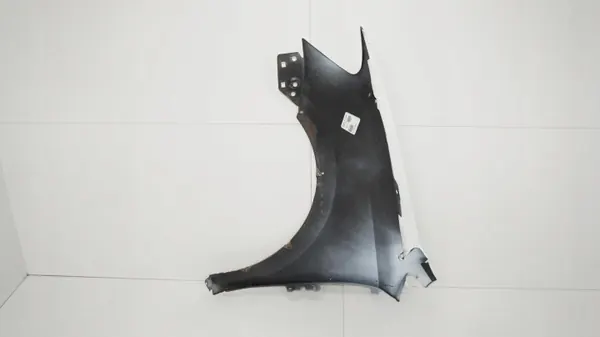 OEM 360184103 Fram höger stänkskärm för VW Polo 6R image 8