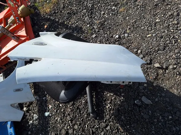 Vänster framskärm Fiat Punto Evo Hatchback OEM 1619655 image 2