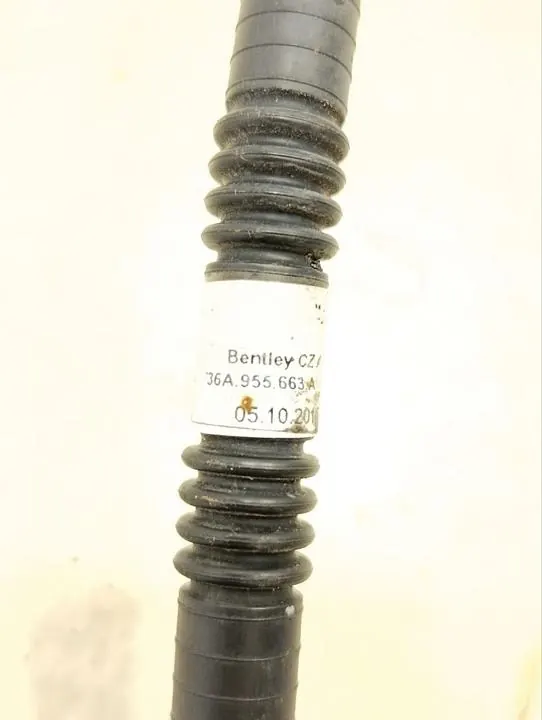 Flexible de lave-glace Bentley Bentayga OEM 36A955663A image 6