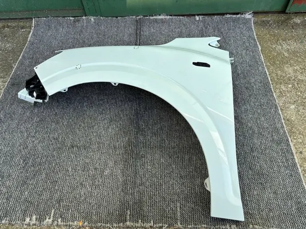 Fram vänster skärm Dacia Sandero III 631012610R image 2