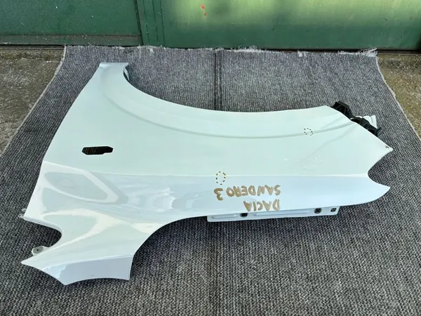 Fram vänster skärm Dacia Sandero III 631012610R image 4