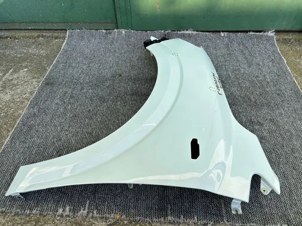 Fram vänster skärm Dacia Sandero III 631012610R image 5