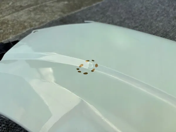 Fram vänster skärm Dacia Sandero III 631012610R image 6