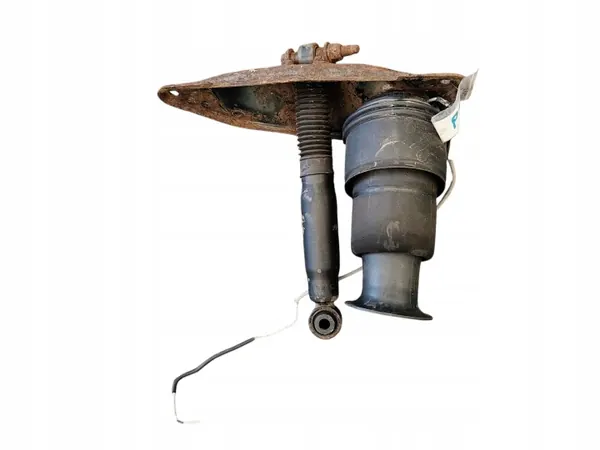 Soufflet Amortisseur Droit Arrière OEM Citroen C4 Picasso image 4