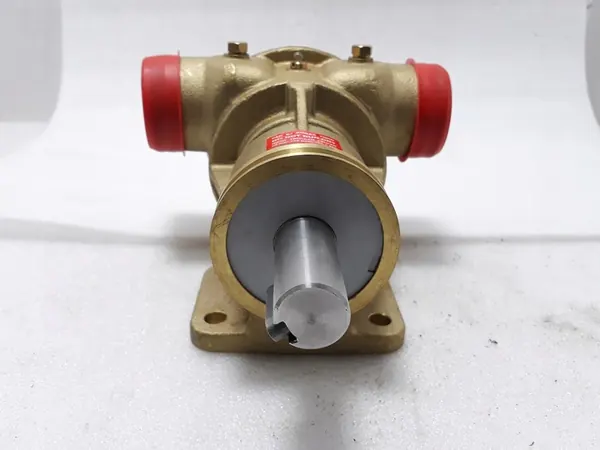 Pompe rotative Johnson F8B-8 D6554 image 5