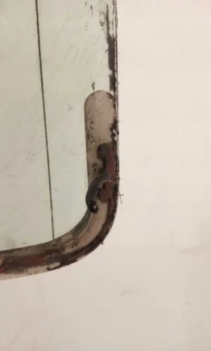Vitre arrière chauffée verte OEM 5328BGNE Mercedes E-Class image 3