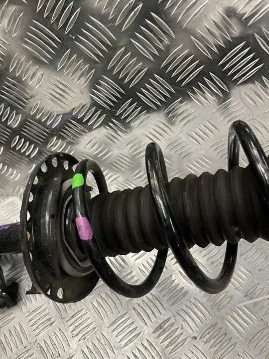 Ammortizzatore Destro Anteriore Renault Zoe II 543028406R image 3