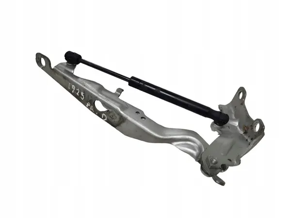 Bisagra de capó derecha VOLVO V70 III 30649516 image 6