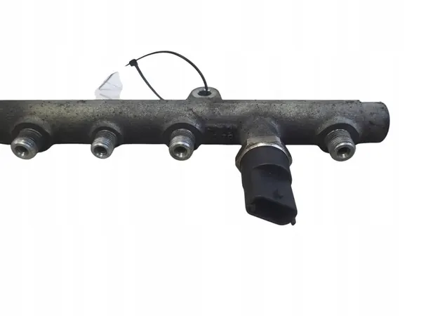 Brandstofslang Renault Scenic I 0445214015 image 5