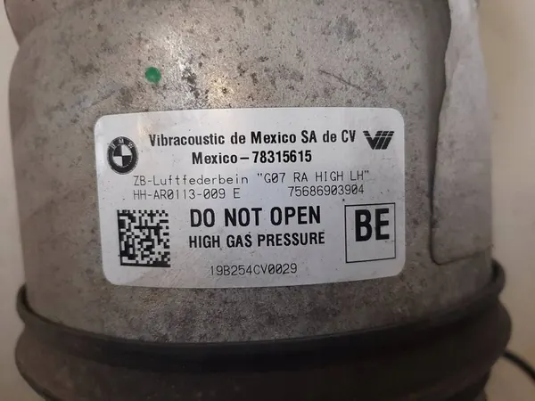 Amortizzatore Posteriore Sinistro BMW X7 G07 image 2