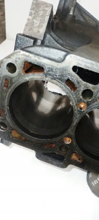 Bloque motor OEM 55565911 para 2.0 CDTI A20DTH image 10
