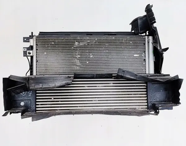 Voorste Radiatorbalk Citroen DS7 Crossback 9813964480 image 3