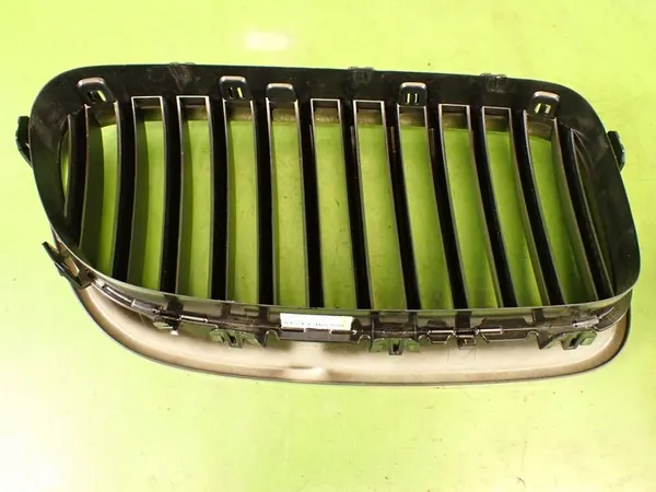 Left Black Grille M Performance BMW F10 F11 image 4