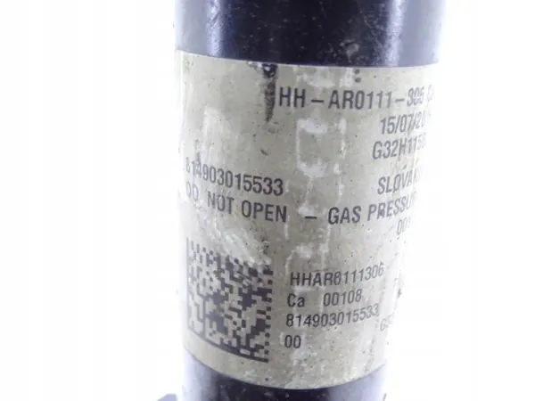 OEM 6872968 Amortisseur Pneumatique Arrière Gauche BMW 6 GT image 3