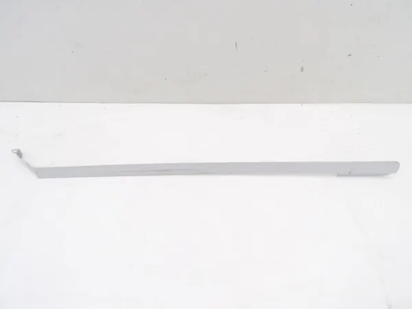 OEM 828954067R Couvre-guide Porte Gauche Blanc image 2