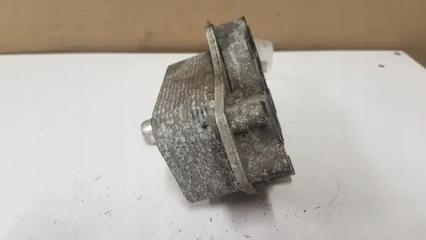 Ölkühler OPEL INSIGNIA A 1.6L Diesel 2016 644029084 image 4