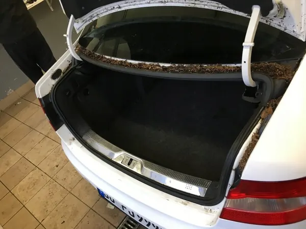 Kofferraumdichtung Skoda Superb 2 OEM - Gebraucht image 2