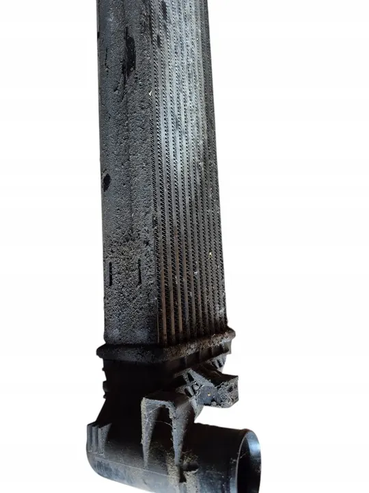 Intercooler Renault Laguna II 2.0 DCI image 4