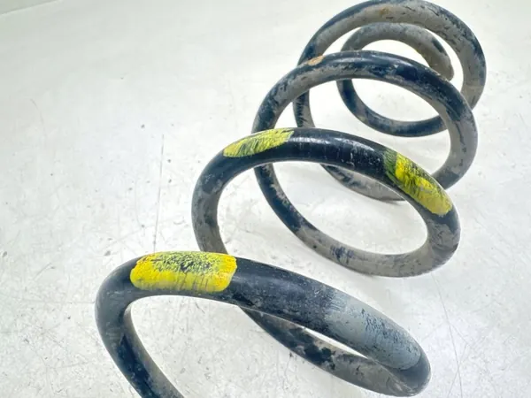 Resorte trasero Opel Signum 2004 MTL26556 image 2