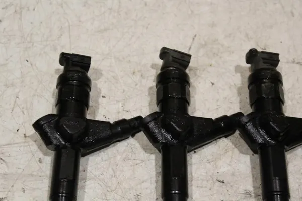 Bränsleinsprutare NISSAN CABSTAR MAXITY 2.5 Dci DENSO image 2