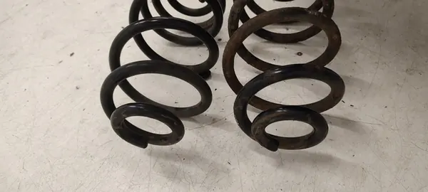 Molla posteriore Opel Insignia A 2.0 CDTI image 3